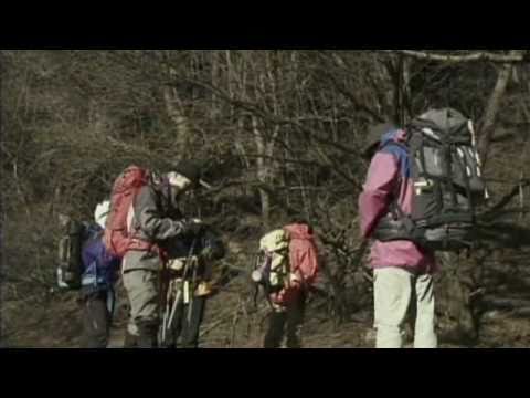 RIP SLYME 「STAIRS」