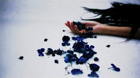 サカナクション 「目が明く藍色 」